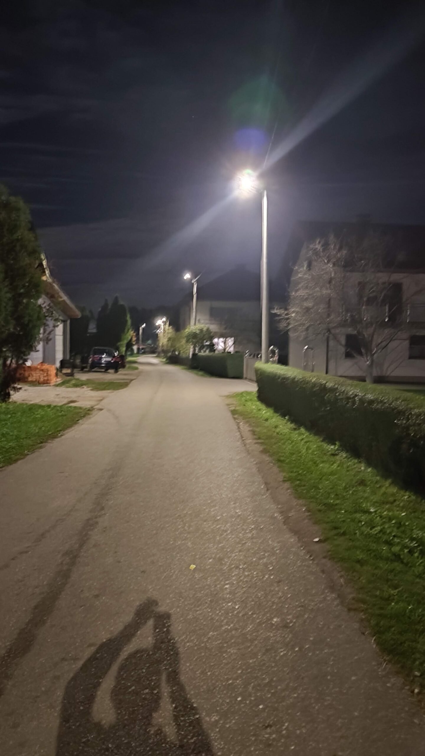 Aktivnosti udruženja